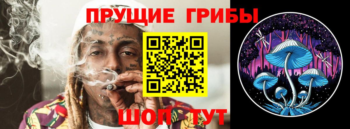 Нижневартовск  Псилоцибиновые грибы Psilocybine cubensis  Вход с VPN 